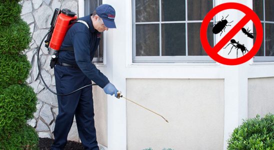 Eşme Kene İlaçlama böcek ilaçlama ve haşere kontrolü — ilaclama-tr.com